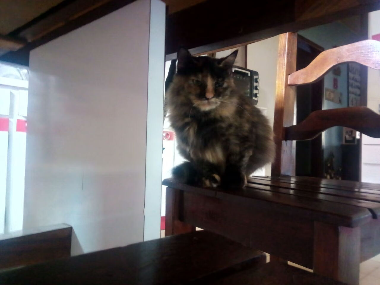 华体会登录-当东方水墨遇上加泰罗尼亚足球,李刚仁的百场里程碑 第1张 华体会登录-当东方水墨遇上加泰罗尼亚足球,李刚仁的百场里程碑 第1张