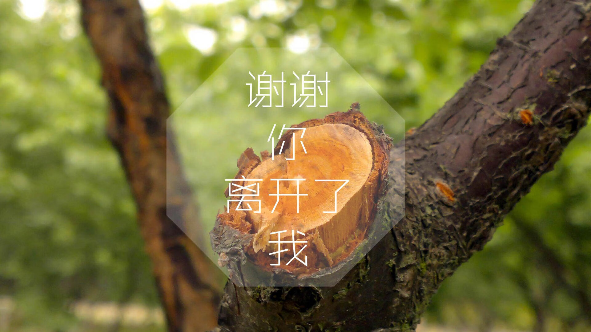 华体会-黑马狂飙,加纳碾压匈牙利,维尼修斯压哨绝杀书写2026世界杯传奇 第1张 华体会-黑马狂飙,加纳碾压匈牙利,维尼修斯压哨绝杀书写2026世界杯传奇 第1张